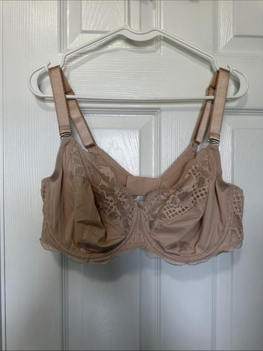 Fantasie Reflect Beige Lace Full-Coverage Underwire Bra Sz 38DDD